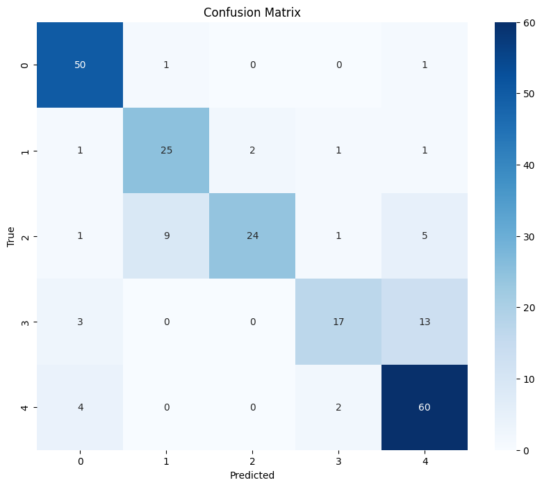 Healthy tomato plant leaves for comparison showing no disease symptoms